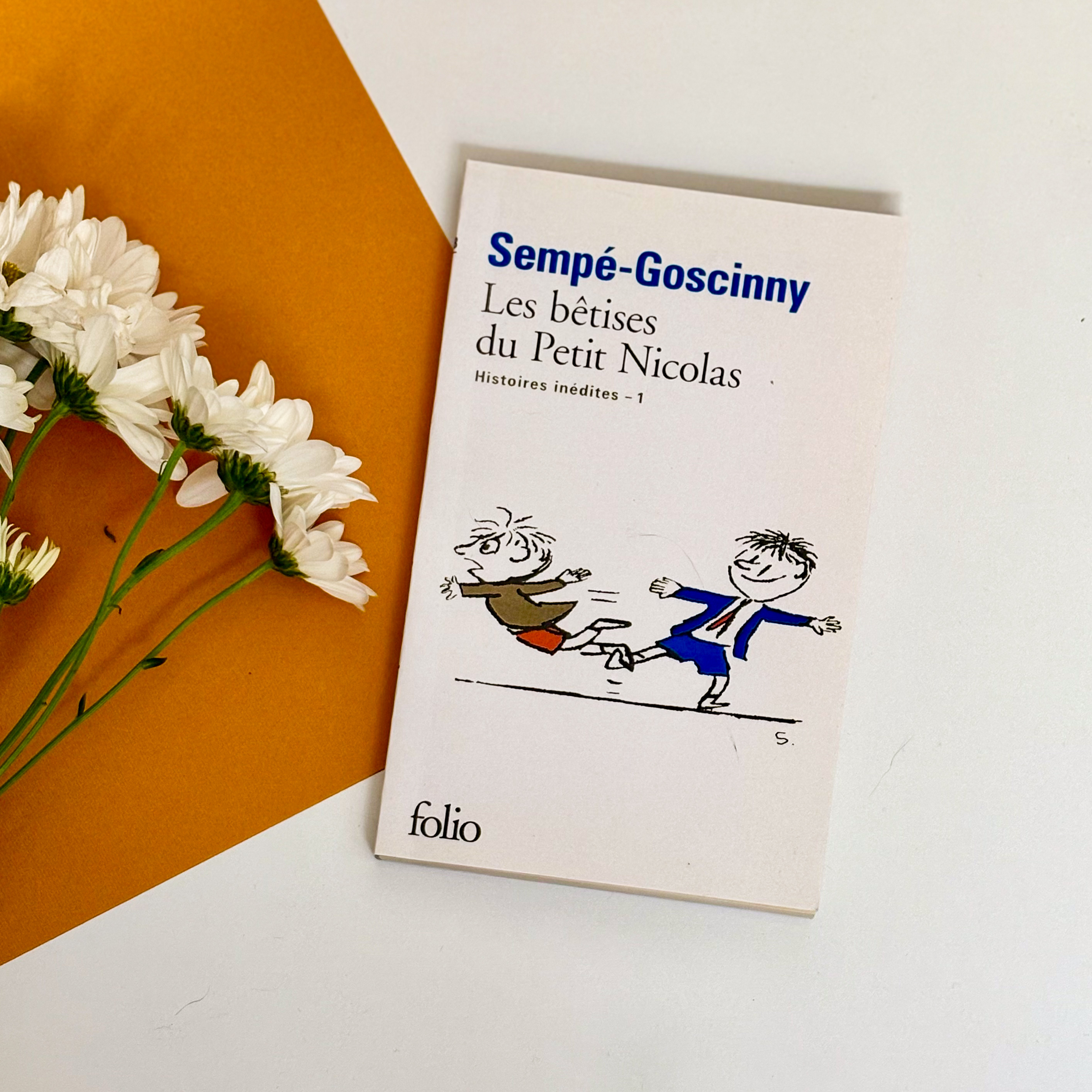 کتاب داستان شیطنت های  نیکولا کوچولو