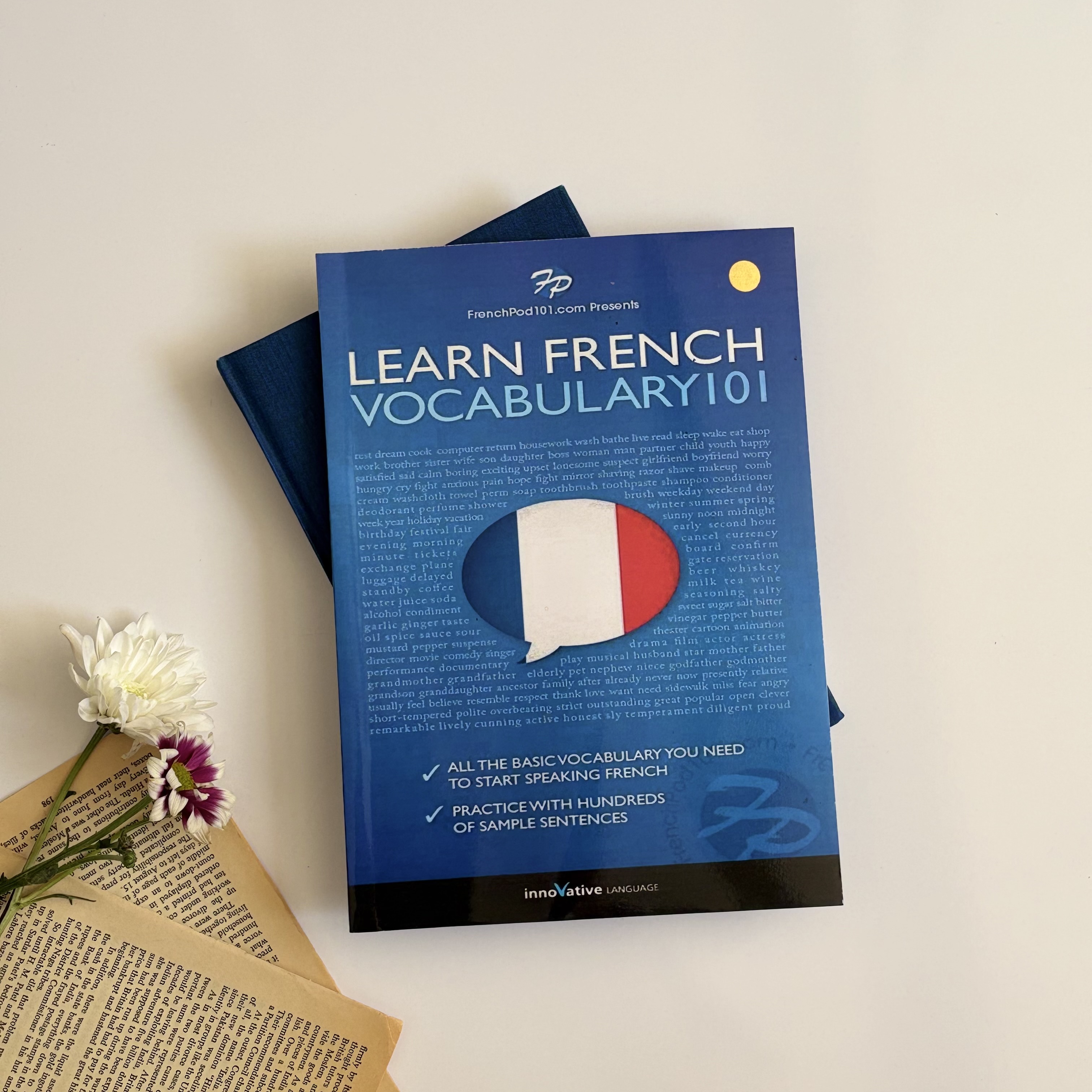 کتاب لغت فرانسه  Learn French – Word Power 101