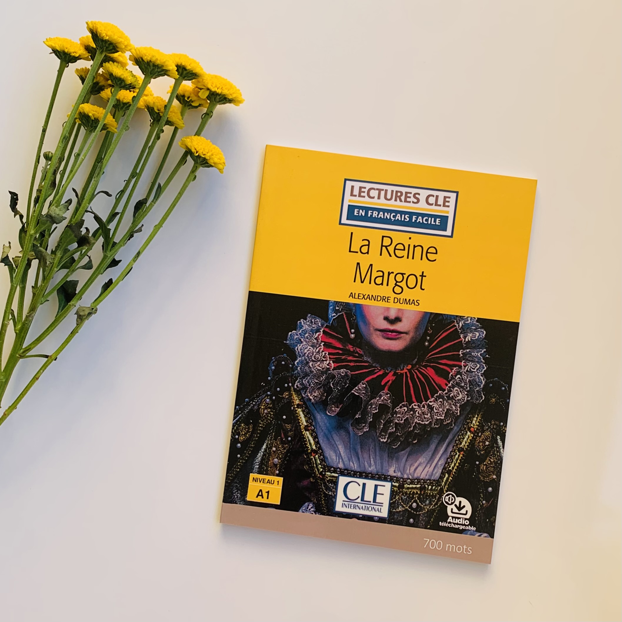 کتاب داستان ملکه مارگو la reine margot (A1)