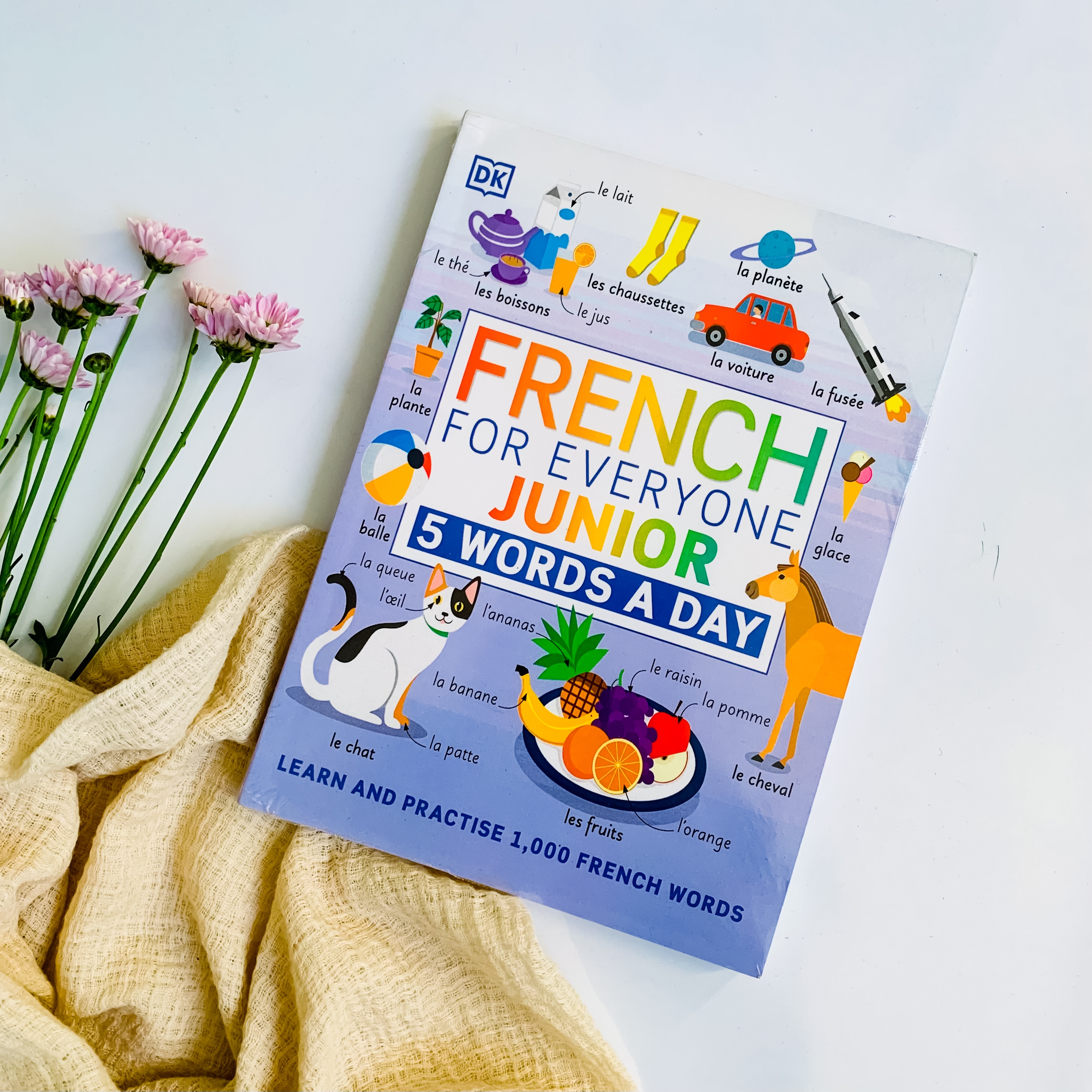 کتاب لغت فرانسه  French for Everyone Junior