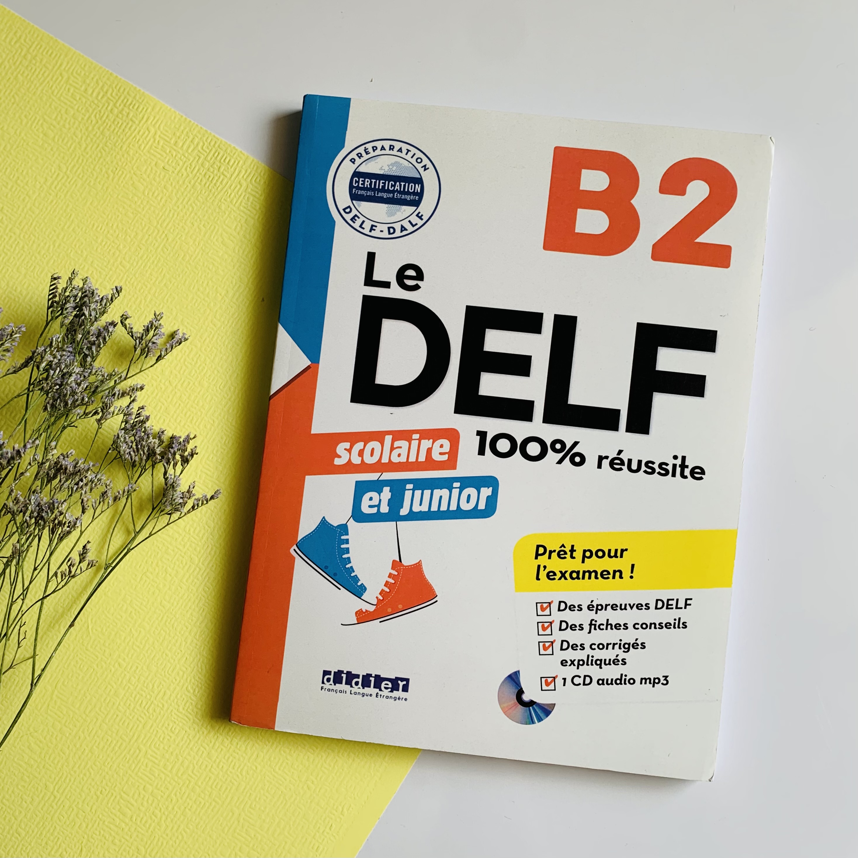 (Le DELF 100% réussite (B2