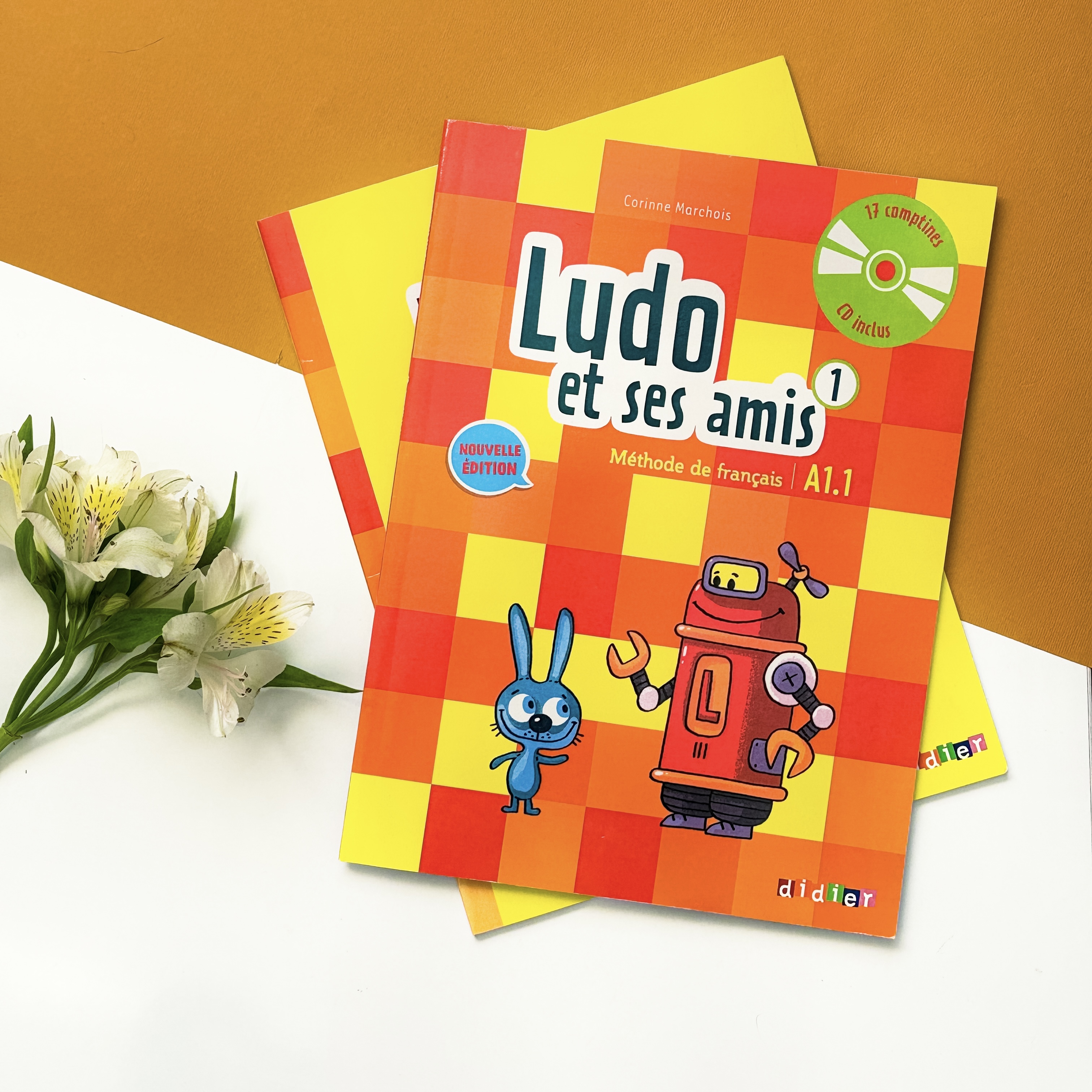 کتاب آموزش زبان فرانسه کودکان Ludo et ses amis A1.1