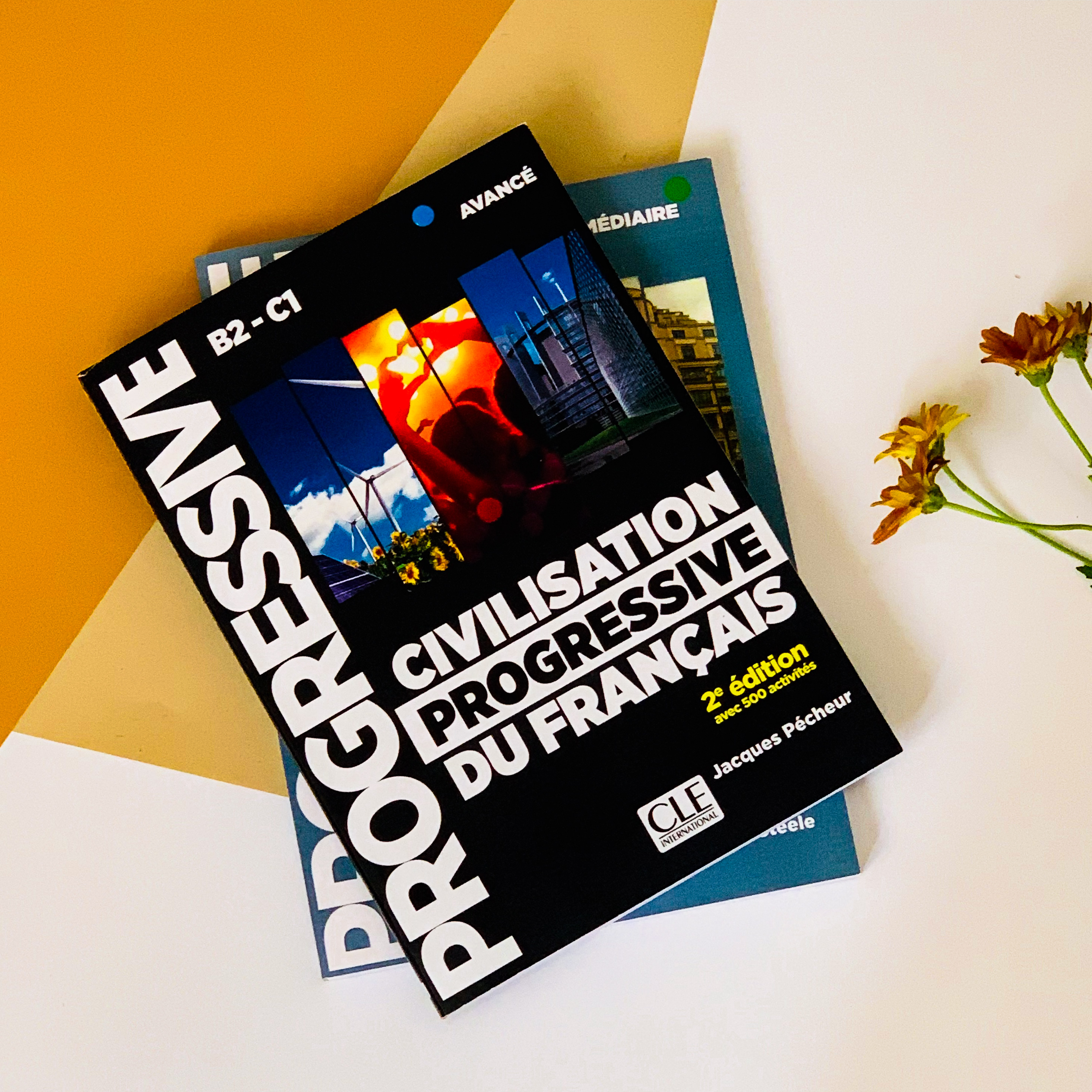 B2.C1 _ Civilisation Progressive du Français
